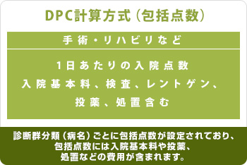 DPC計算方式(包括点数)